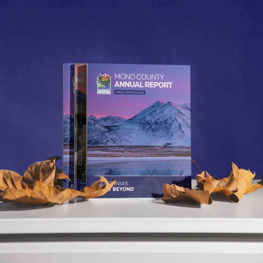 Stacked Mono County Annual Report standing upright against a purple background with autumn leaves.